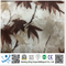 Wholesale African Wax Print Fabric 100% Polyester Super Dutch Hollandaise Wax Fabric