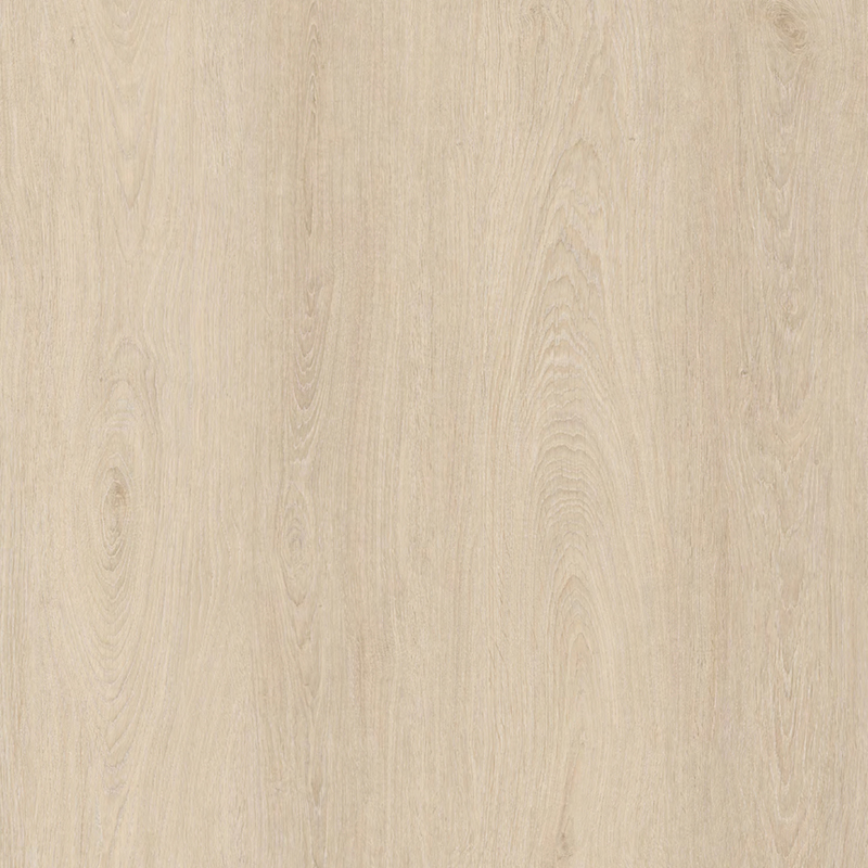 ዲቢኤል-6151-12