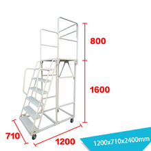 Warehouse Ladder LT-9
