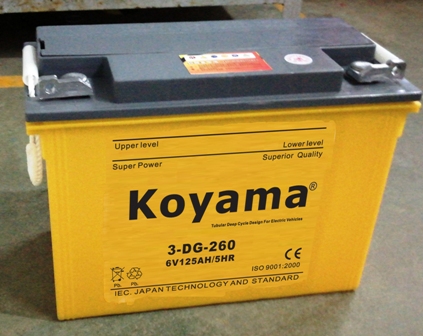 Tricycle Battery 