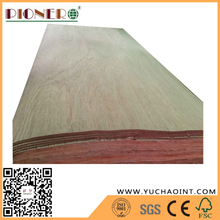 Natural Wood Plb Rotary Cut Veneers