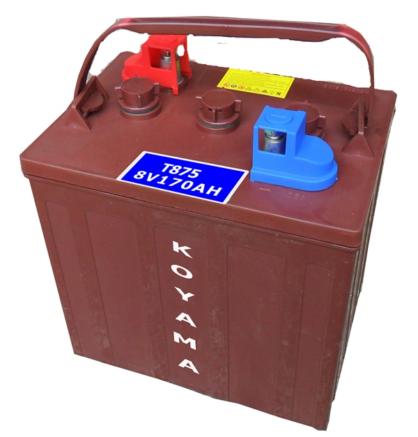Aerial Work Platform/Access Flooded Deep-Cycle Battery 