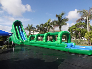 Clearwater Beach Water Slide Inflatable Hippo Slide for Sale