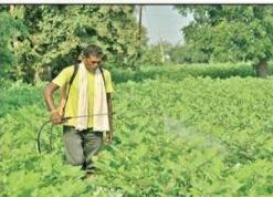 India: Agriculture department moots Glyphosate ban in Yavatmal