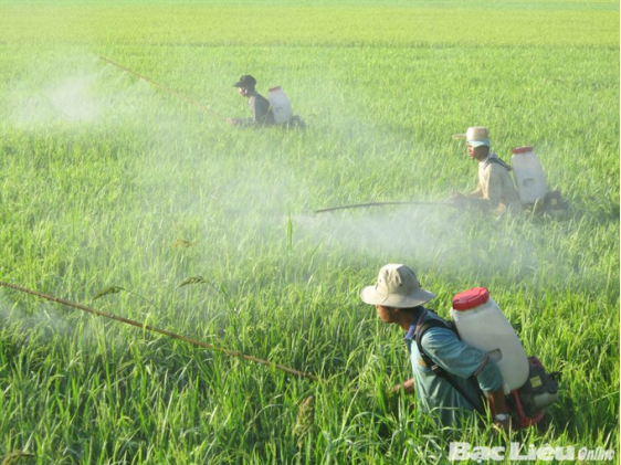 2022年越南农药市场将超12亿美元 生物农药增长迅速