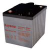 6V 225AH High Quality Deep Cycle Lead Carbon Battery NPC225-6