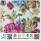 100% Polyester Wide Width Microfiber Peach Skin Transfer Printed Fabric with Bedsheets