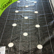 Cubierta de suelo negra de 105 g/m²/alfombra de malas hierbas con agujeros para jardines