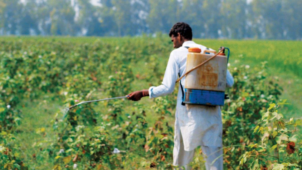 印度农药税增至18% 生产成本增高引发农民及生产企业担忧