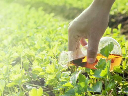 2017年第一季度农化行业政策法规盘点