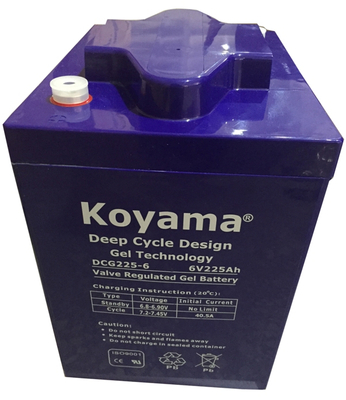 Golf, Utility Vehicle And NEV Gel Deep-Cycle Battery
