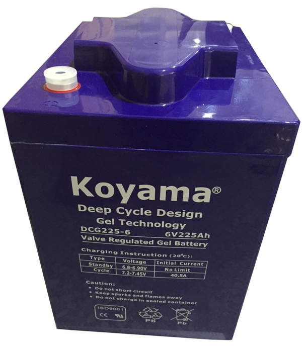 Golf, Utility Vehicle And NEV Gel Deep-Cycle Battery