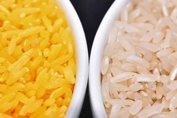 澳大利亚和新西兰批准黄金大米用于食品