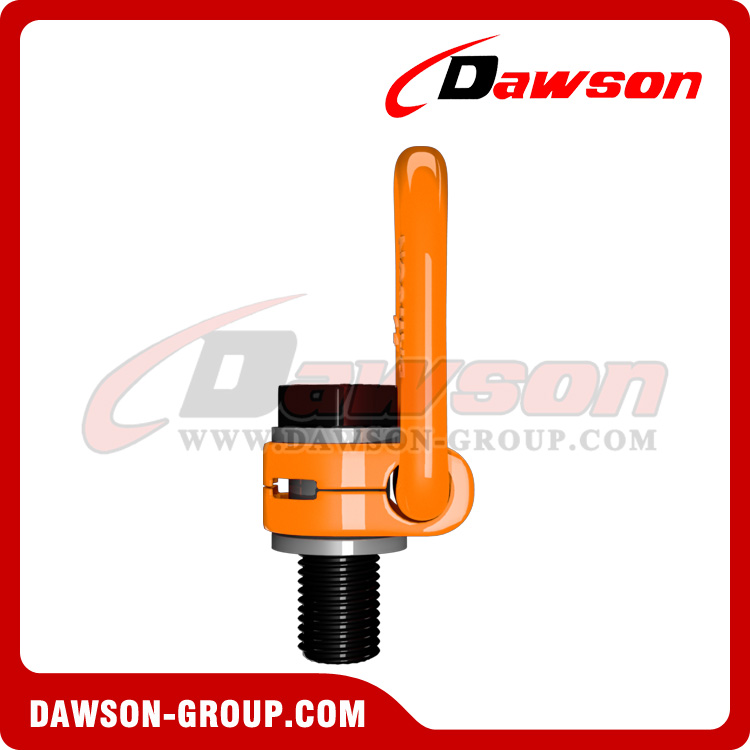 DS173 G80 Pivoting Lifting screw