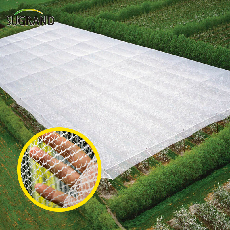 China Factory Hail Mesh Protección de protección de granizo Neta 60G/M2-70G/M2 para invernadero