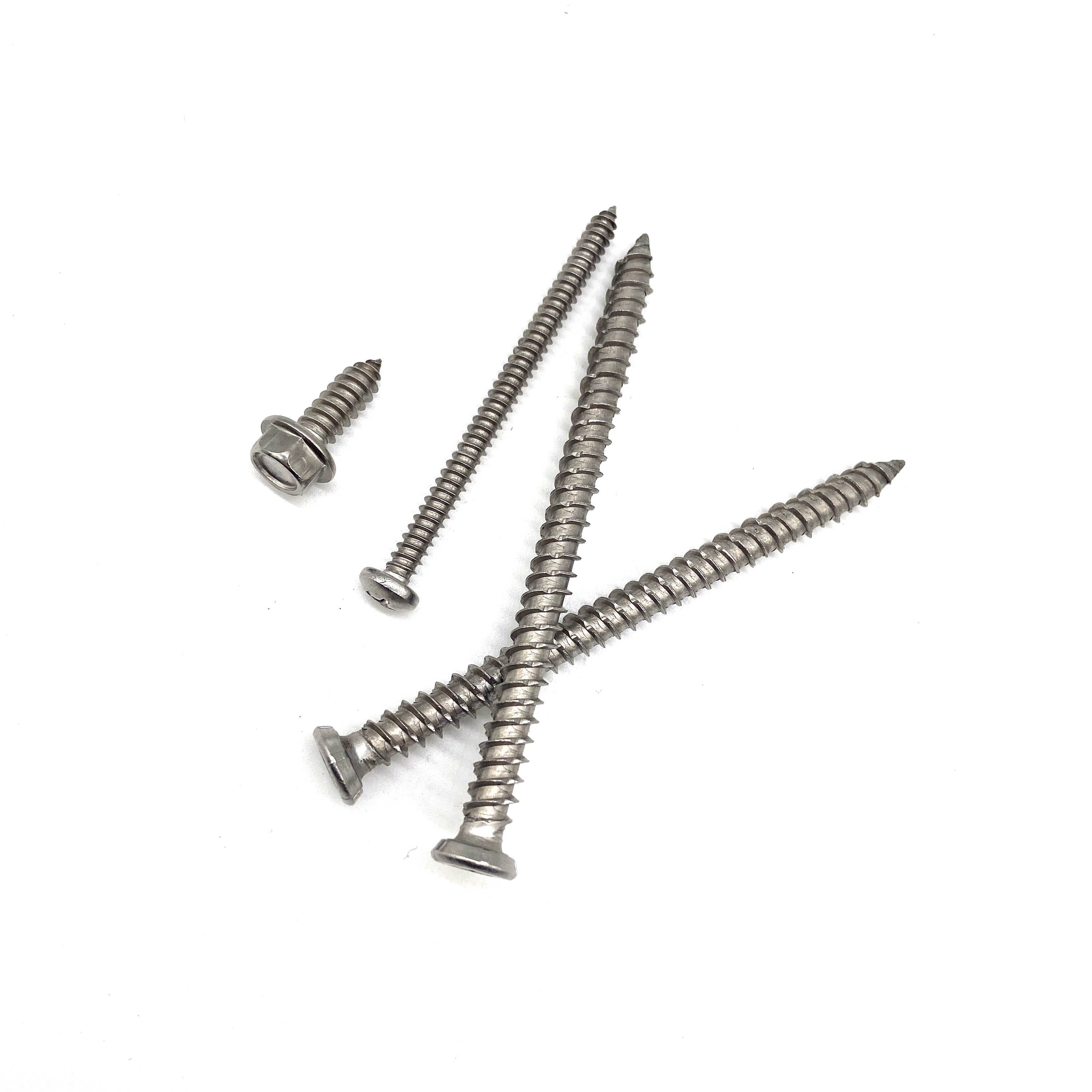 Vis autotaraudeuses en acier inoxydable à vis à tête cylindrique SS 304 316
