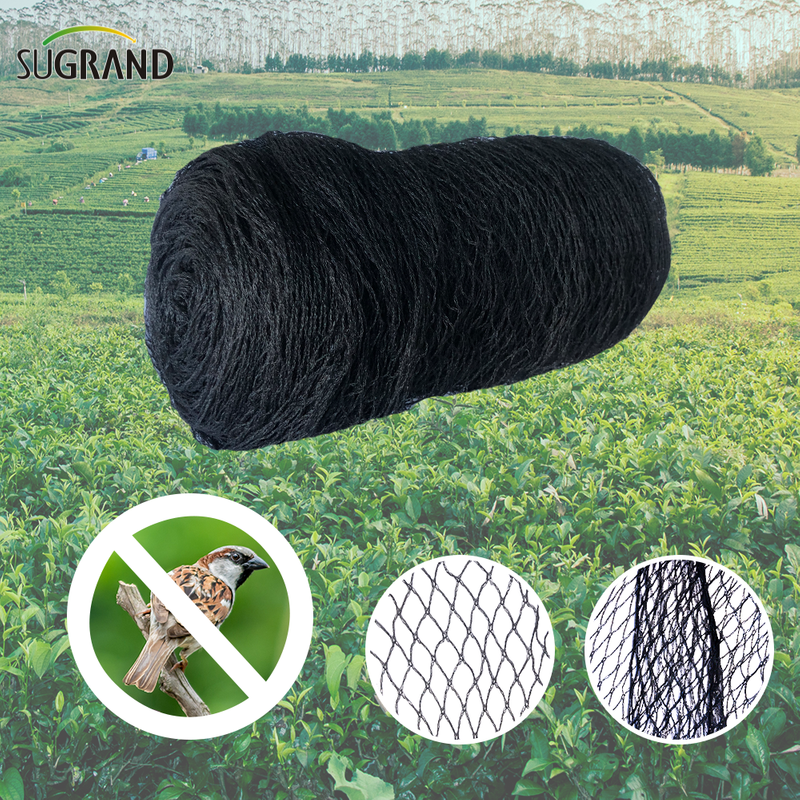 NEGRO 17MX17M Pigeon Net anti -pájaro para árboles frutales