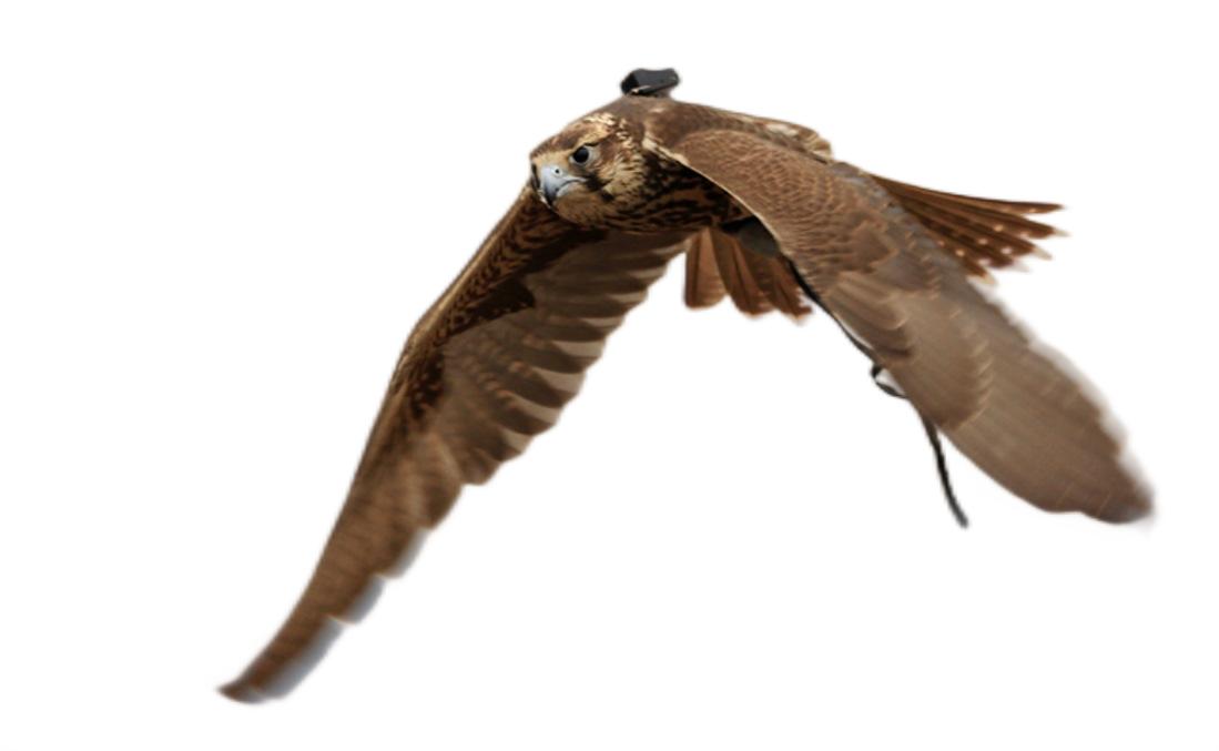 20 17060607150 1_22867