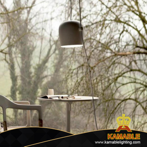 Деликатесная чудесная современная акриловая алюминиевая черная подвесная лампа для гостиной (KAKP1878)