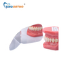 SINO ORTO ORTHODÓTIC ESPEJOS OCLUSAL + BUCCAL DM01-03
