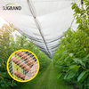 China Factory Hail Mesh Protección de protección de granizo Neta 60G/M2-70G/M2 para invernadero