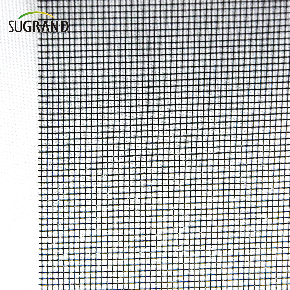 Proveedores de malla de pantalla de insectos de fibra de vidrio anti insectos de 110GSM