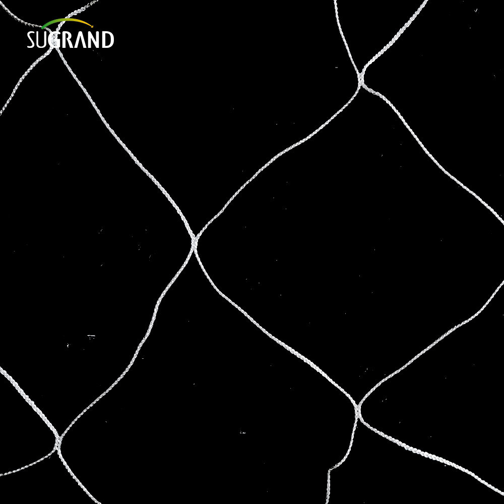 Garden verde blanco Balck enrejado