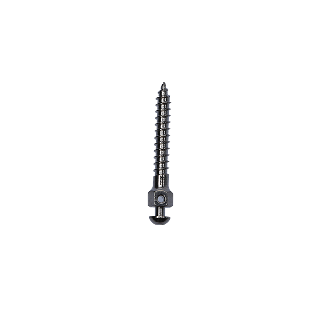 Mini tornillo ortodóntico para implante ortodóntico