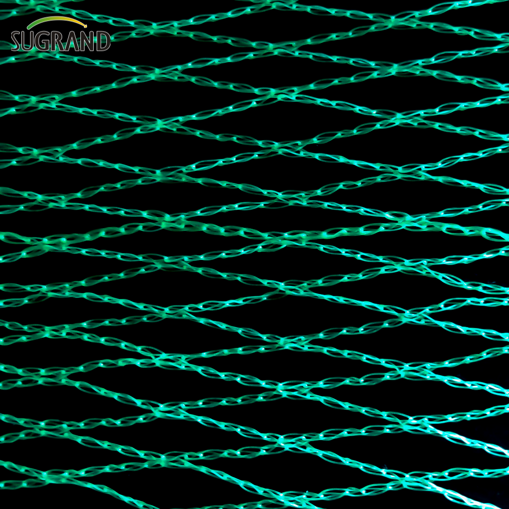 Green Bird Net 4x30m Net Net para proveedores del mercado de Tailandia