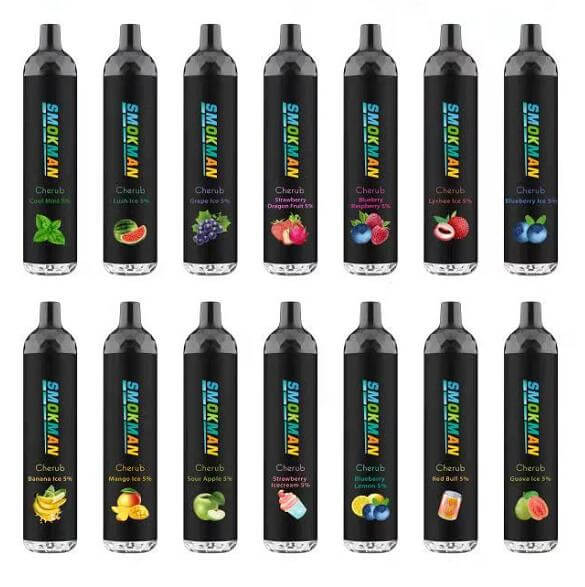 Vente en gros de 14 saveurs jetables E-Cigarette Fruit Vape