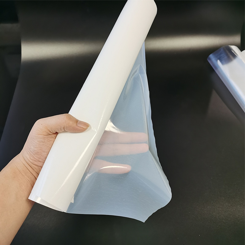 Most Popular Regular Copolyester Hot Melt Adhesive Film 5008F