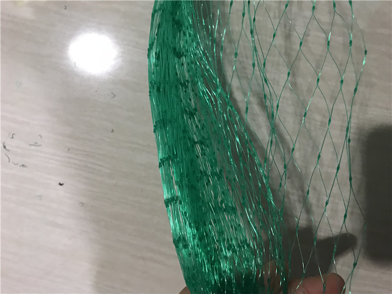 Red De Suelo Para Cazar Pájaros