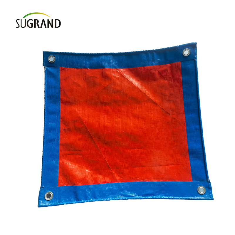 Orange y azul UV Protect Plas Pe Tarpaulin Agricultura Fabricantes de cobertura industrial