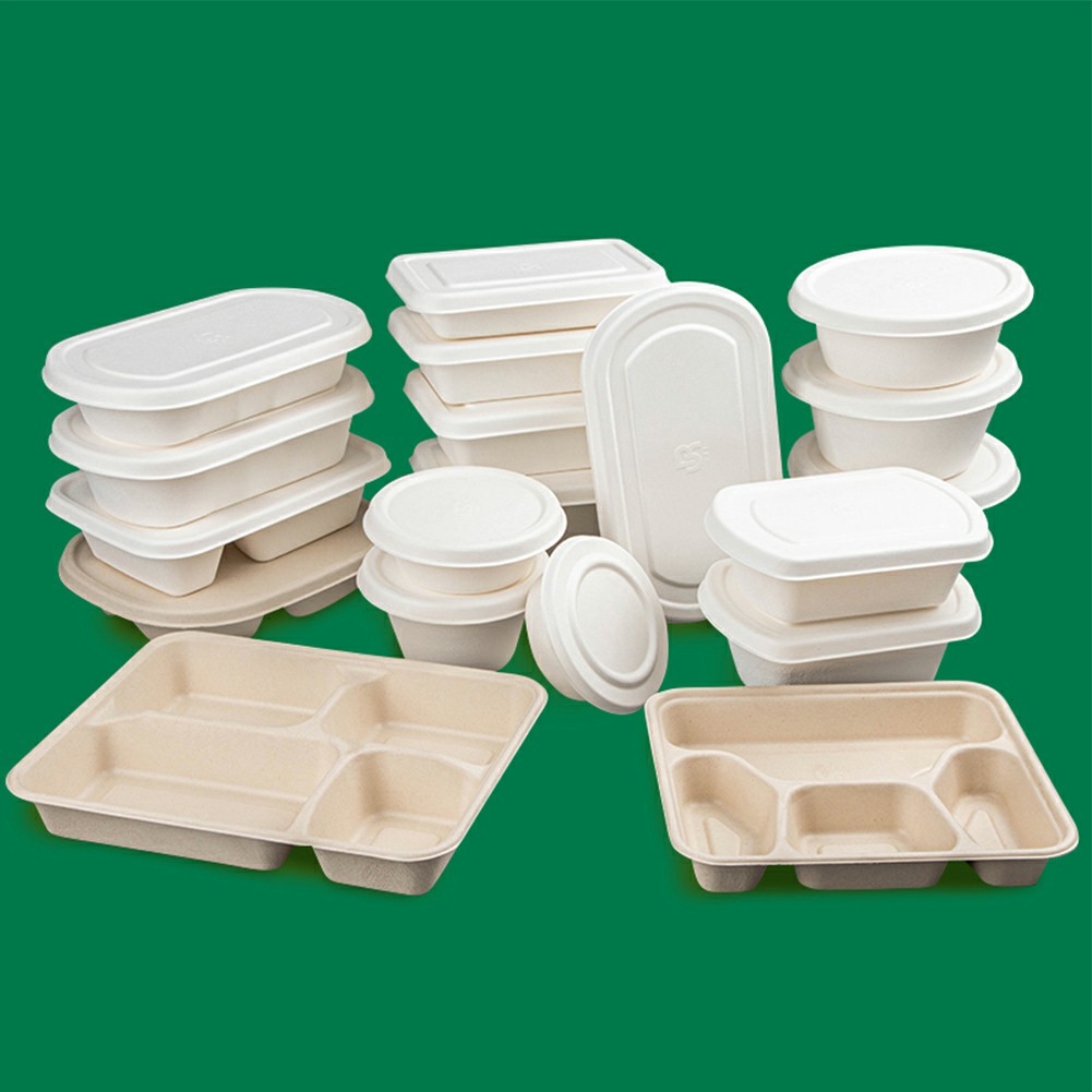 Degradable Eco Friendly Meal Box