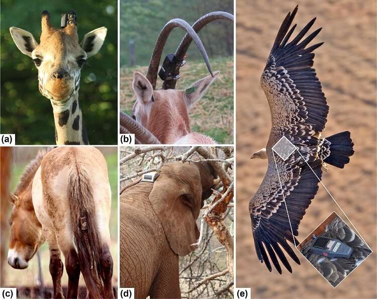 Summary of YIM SPACE Solar Energy Solution for IoT Applications 4-太阳能