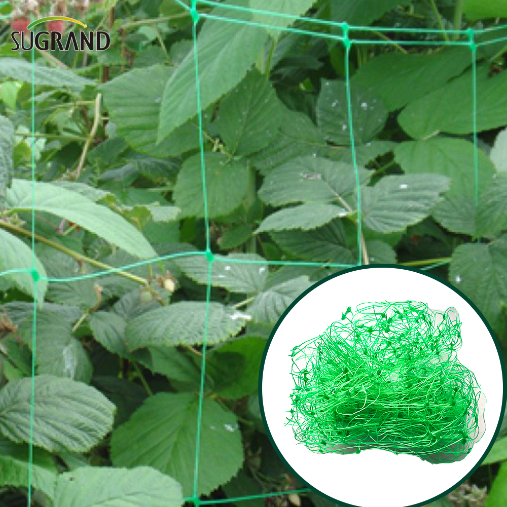 Red de apoyo para plantas verdes de 10GSM/red de frijoles