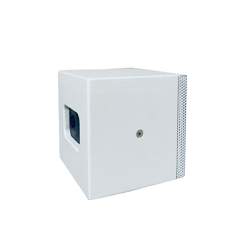 Altavoz pequeño coaxial pasivo de 5 pulgadas 5XT de 100 vatios y 2 vías