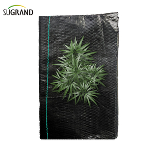 100% PP Black Ground Cover/tela de barrera contra malezas