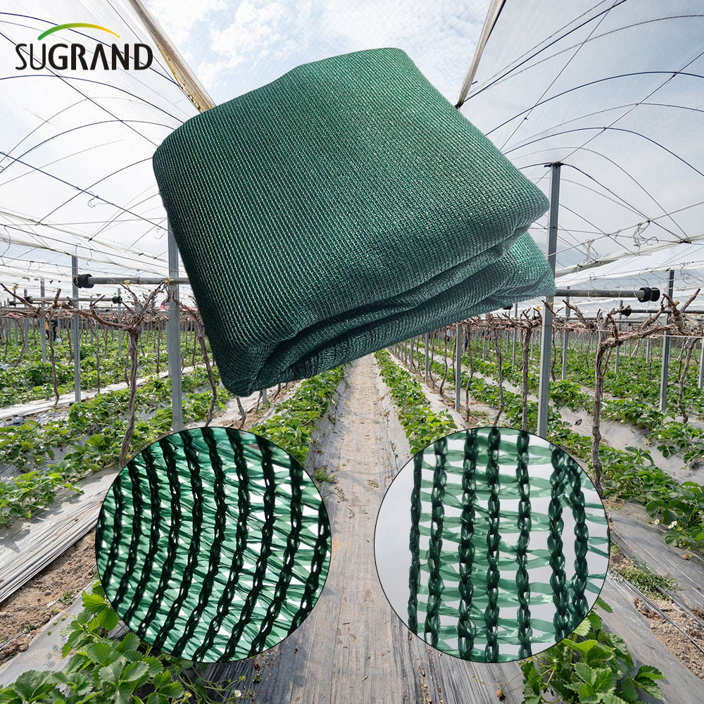Red de parasol de salida de fábrica de HDPE con red de parasol verde resistente a los rayos UV