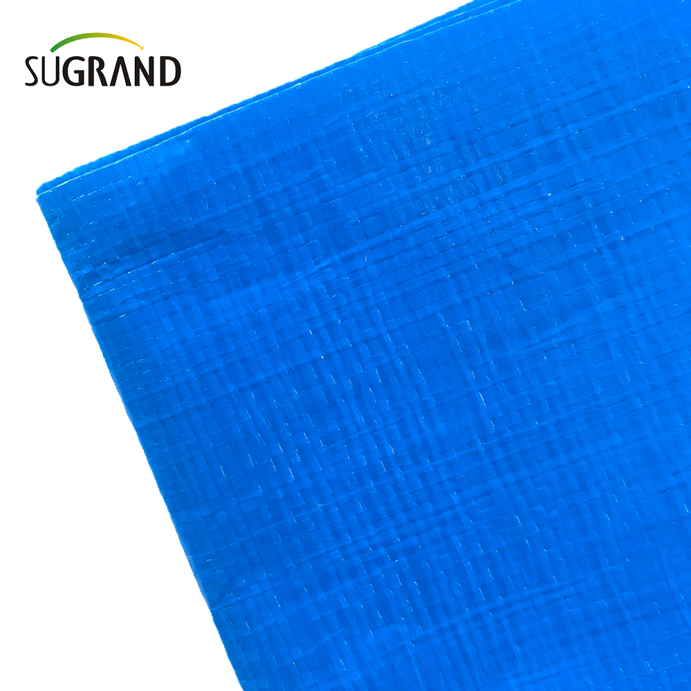 Fabricante de lona de PVC resistente al agua azul duradero de alta resistencia 