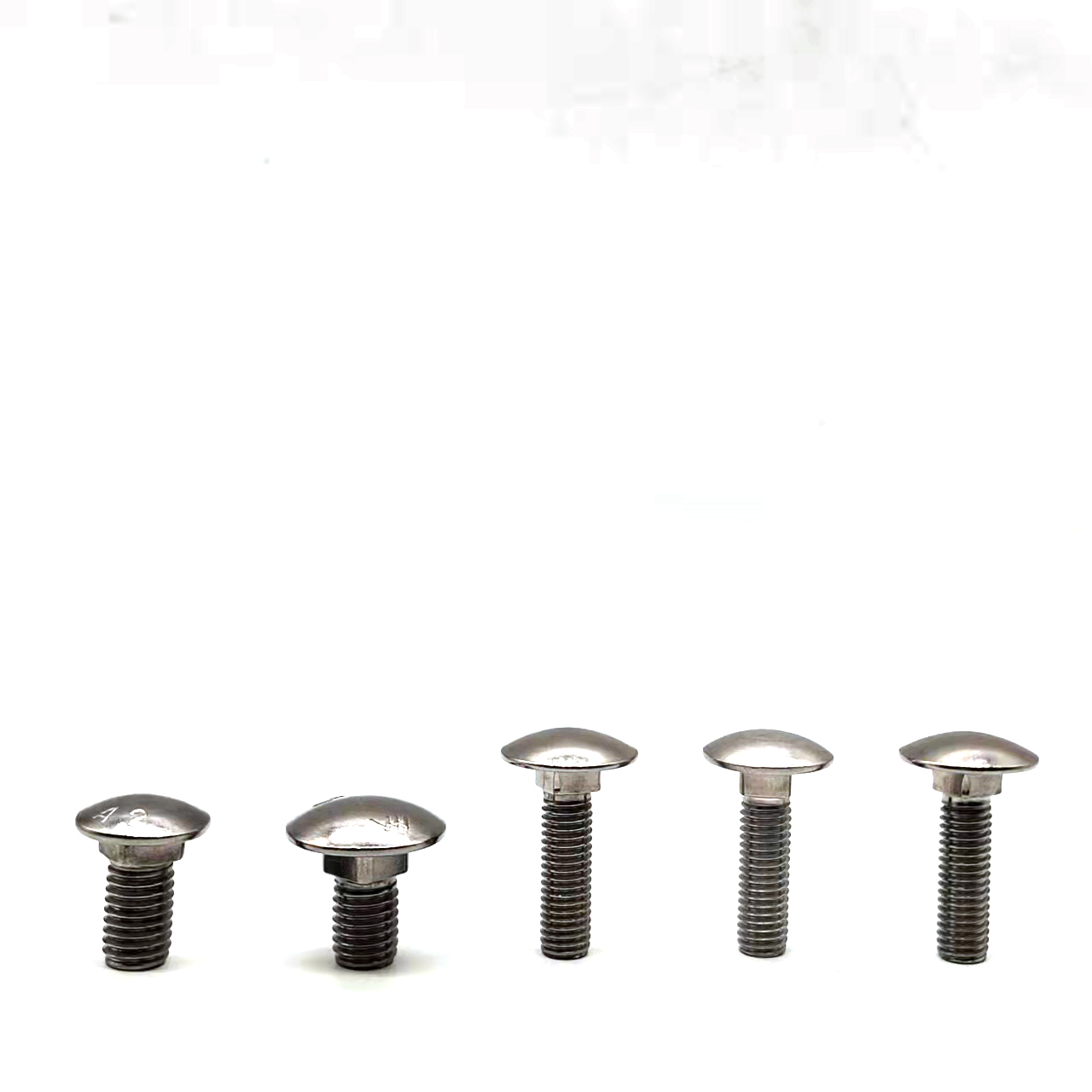 Boulons de carrosserie en acier inoxydable