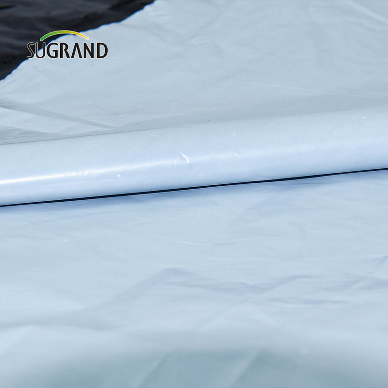 Fábrica china 0.4m-5m Plastic Mulch Film Agricultura para huerto