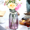 Home Decor Flower Custom Vase Glass Vase for Fashion Home Living Room and Dining Room 