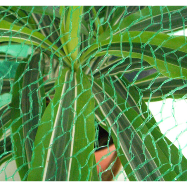 HDPE 8gsm 5X2M green color Anti Bird Net