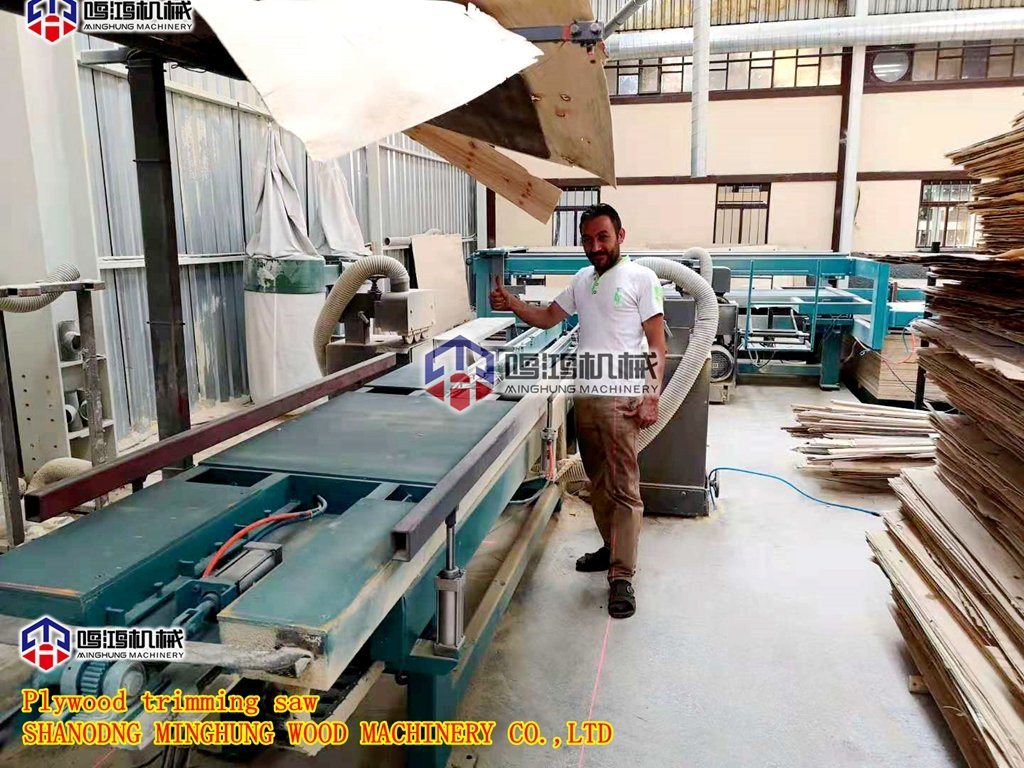 Mesin Pemroses Kayu Lapis Pemotong Tepi Mesin Gergaji Pemangkas