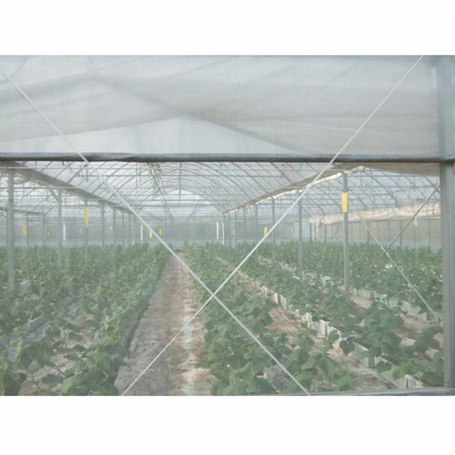 HDPE 140gsm transparent white color or other color Anti Insect Net