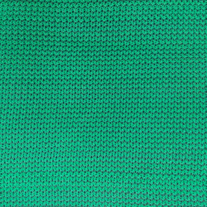 HDPE 100gsm green color scaffold net