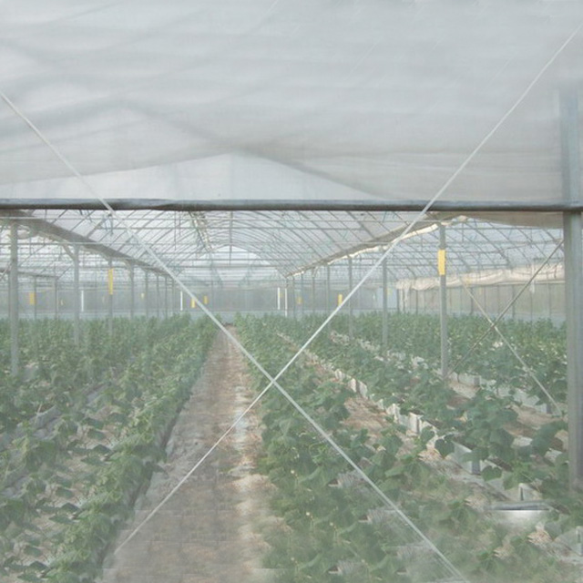 HDPE 45gsm green or other color anti hail net