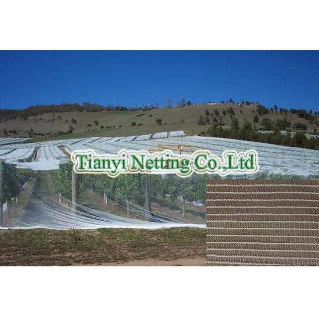 HDPE 55gsm white color anti bee net 