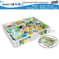Customized Cartoon Indoor Playground Children Play Equipment (H13-60018)